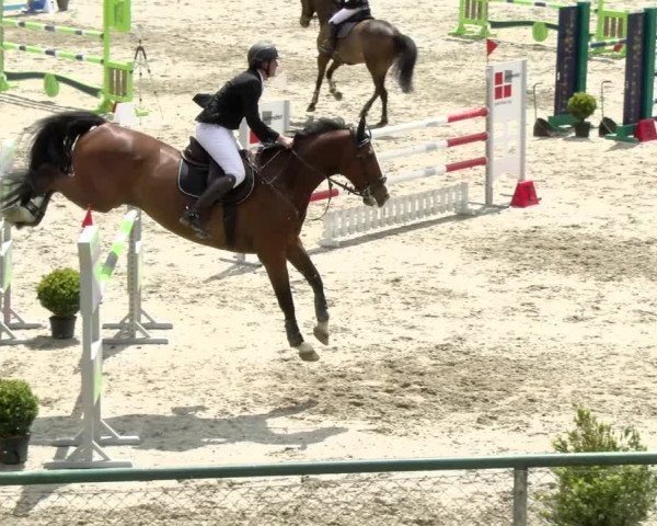 Reitturnier Schaffhausen 2021