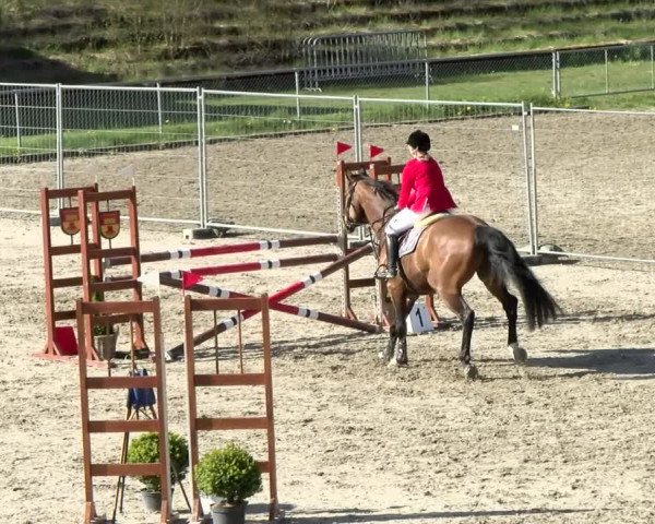 Reitturnier Schaffhausen 2021