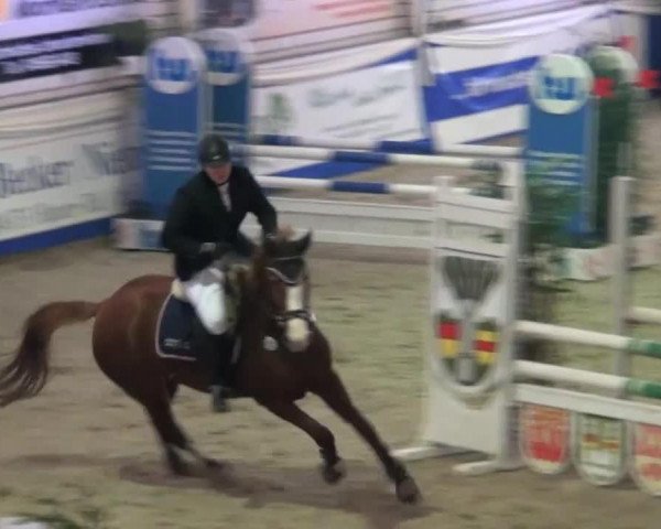 Zuchtstute Pia Zett (Westfale, 2002, von Pep)
