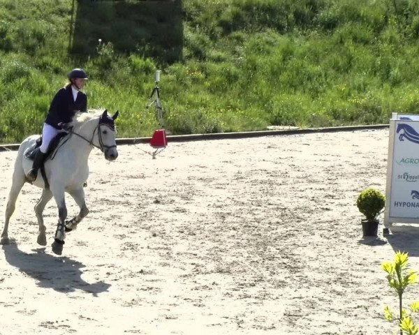 Reitturnier Schaffhausen 2021