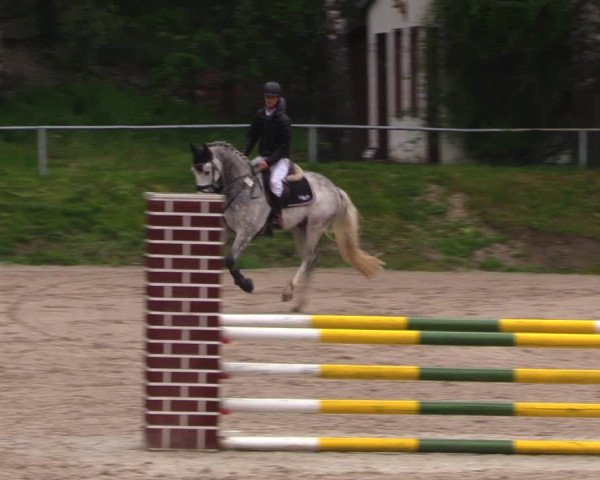 Reitturnier Lgl.-Oberhain, B95 2021
