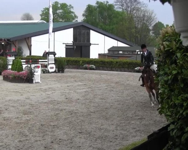 broodmare Ratina del Mare (Hanoverian, 2001, from Rickmer)