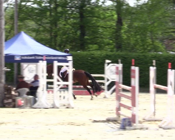 Reitturnier Olfen-Vinnum 2021