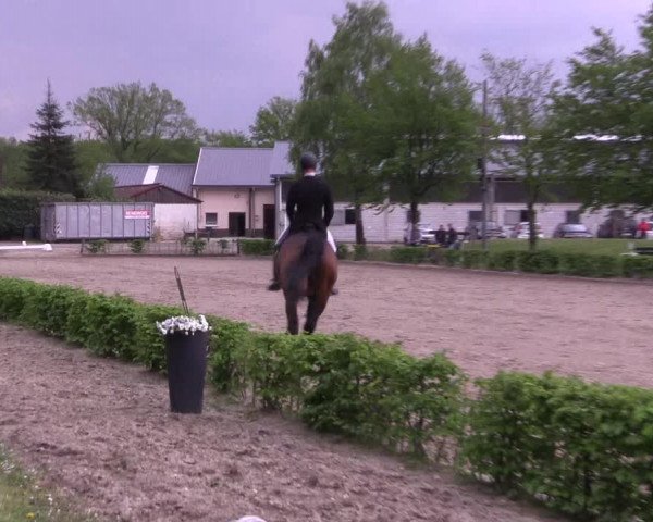 Reitturnier Olfen-Vinnum 2021