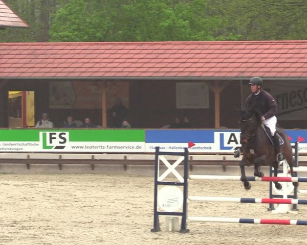 Reitturnier Lgl.-Oberhain, B95 2021