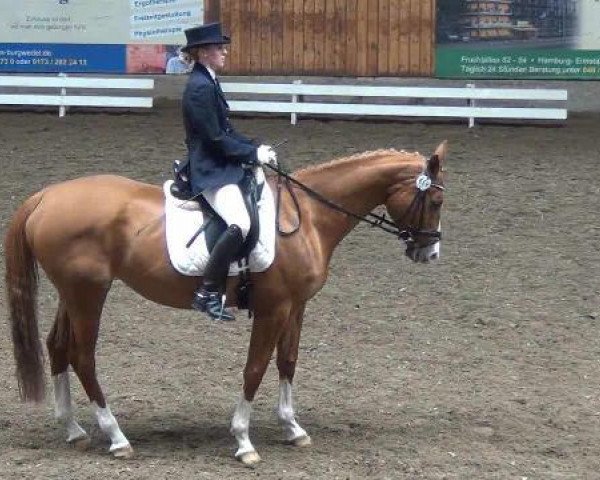 jumper Beg's Bunte (Trakehner, 2001, from Beg xx)