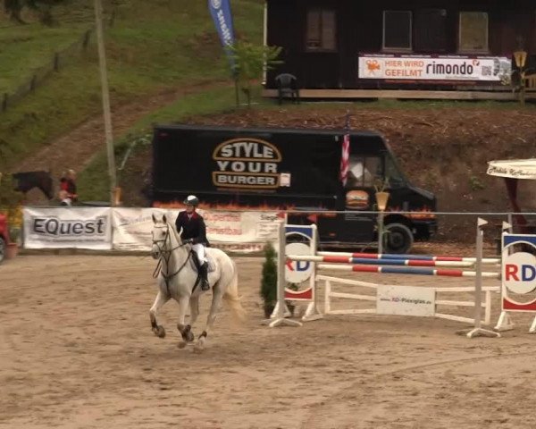 jumper Carlson 16 (Holsteiner, 1996, from Coradus)