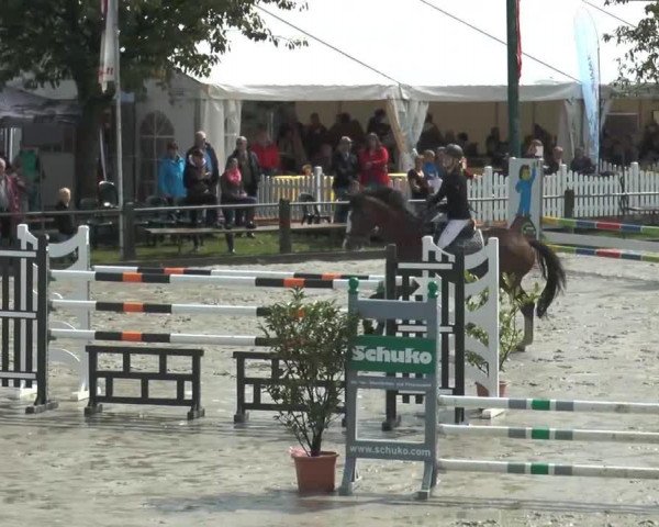 dressage horse Eljano 5 (Westphalian, 1997, from Externstein)