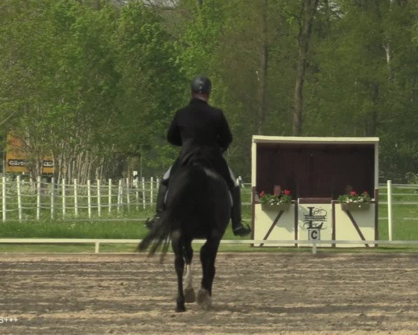 Reitturnier Hamminkeln - Reitsportzentrum Lichtenholz 2021