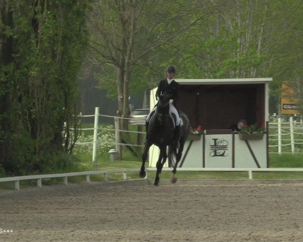 Reitturnier Hamminkeln - Reitsportzentrum Lichtenholz 2021