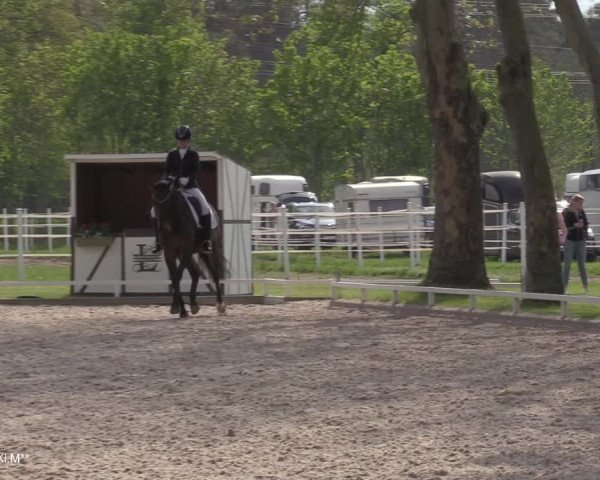 Reitturnier Hamminkeln - Reitsportzentrum Lichtenholz 2021