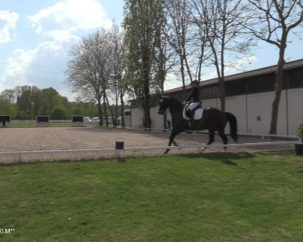 Reitturnier Hamminkeln - Reitsportzentrum Lichtenholz 2021