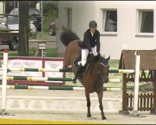 broodmare Laviee (Bavarian, 2004, from Landprinz)