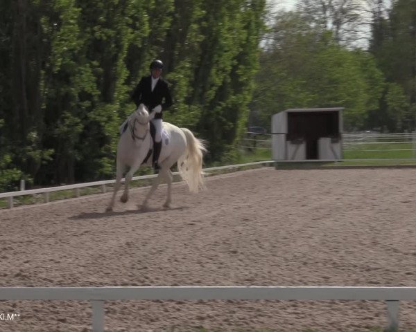 Reitturnier Hamminkeln - Reitsportzentrum Lichtenholz 2021