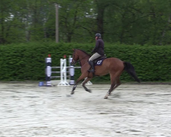 Reitturnier Olfen-Vinnum 2021