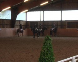 dressage horse Bolero 293 (Saxony-Anhaltiner, 2001, from Bavaria Luchs)