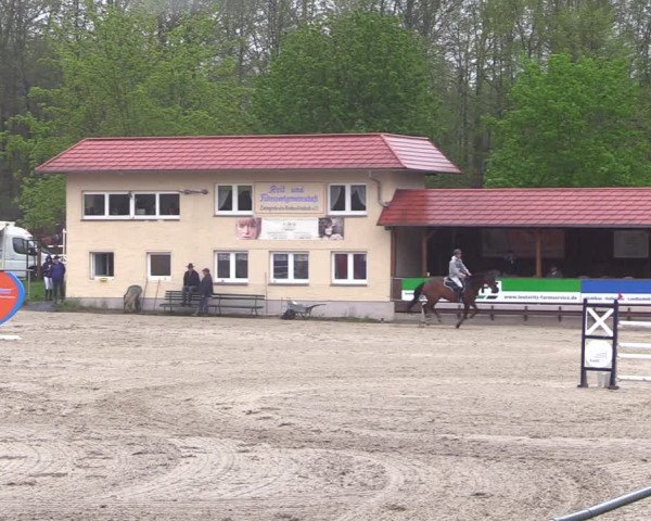 Reitturnier Lgl.-Oberhain, B95 2021