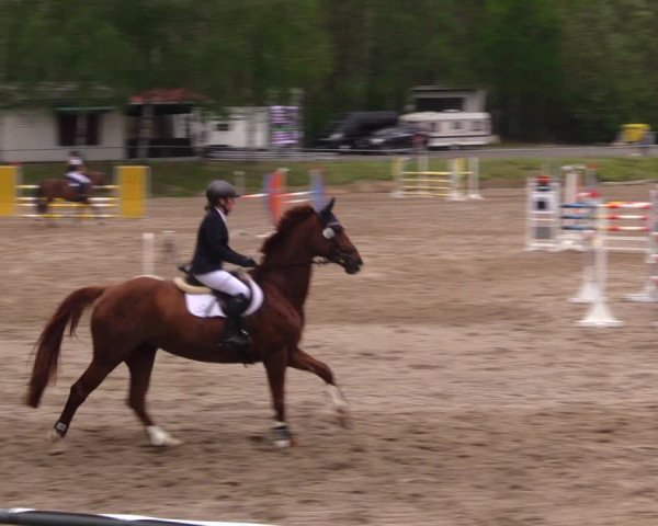 Reitturnier Lgl.-Oberhain, B95 2021