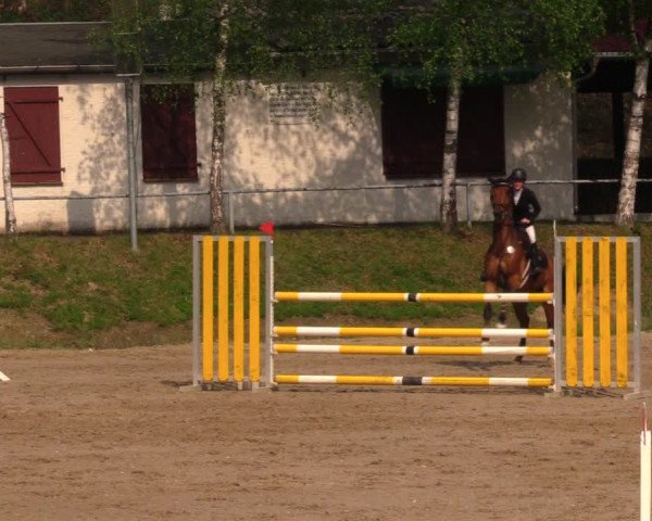Reitturnier Lgl.-Oberhain, B95 2021