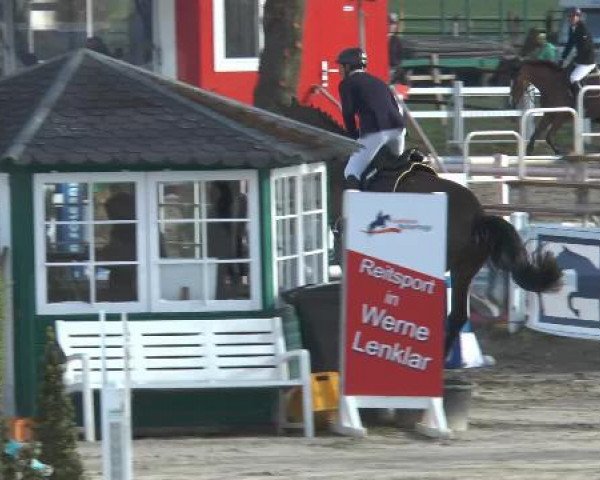 jumper Dublin Milkshake (Westphalian, 2011, from Diamant de Semilly)