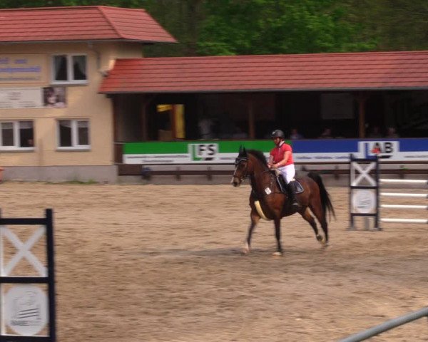 Reitturnier Lgl.-Oberhain, B95 2021