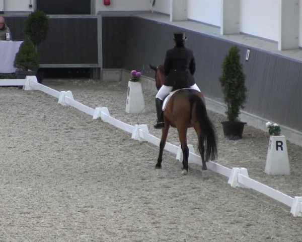 dressage horse Leo Nardo SK (German Riding Pony, 1997, from Leeman)