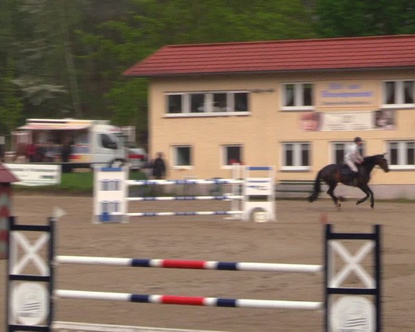Reitturnier Lgl.-Oberhain, B95 2021