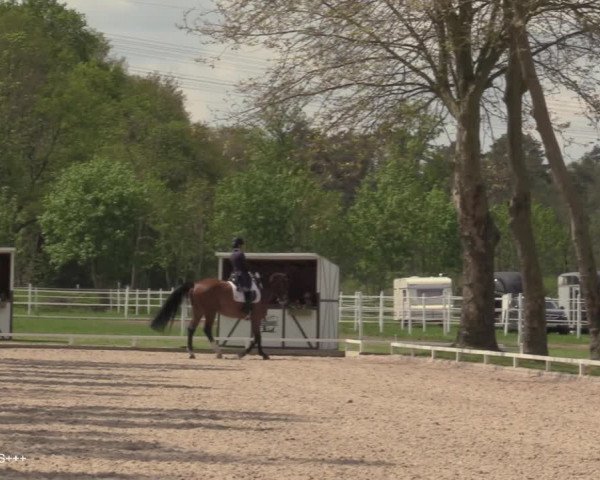 Reitturnier Hamminkeln - Reitsportzentrum Lichtenholz 2021