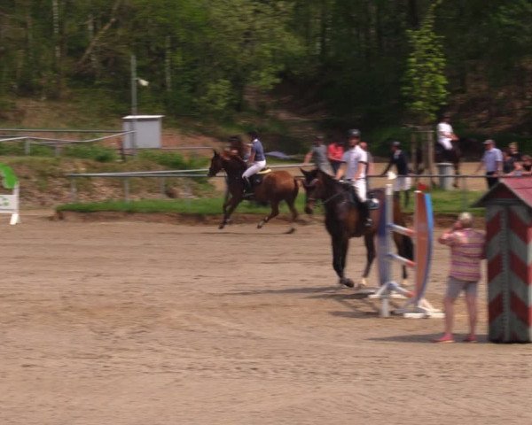 Reitturnier Lgl.-Oberhain, B95 2021
