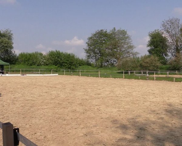 Reitturnier Laer 2021