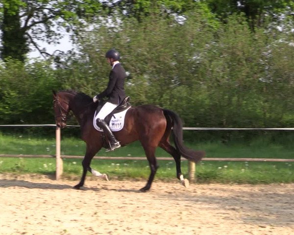 Reitturnier Laer 2021