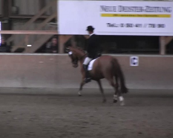 broodmare Rochelle K (Hanoverian, 2007, from Royal Blend)