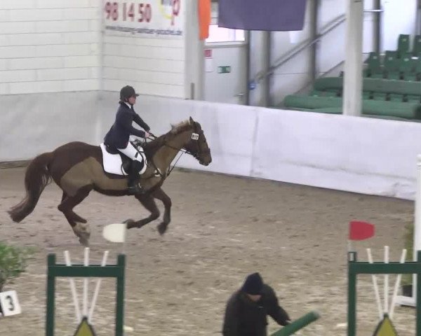 broodmare Amira 130 (Zweibrücken, 1999, from Almati)