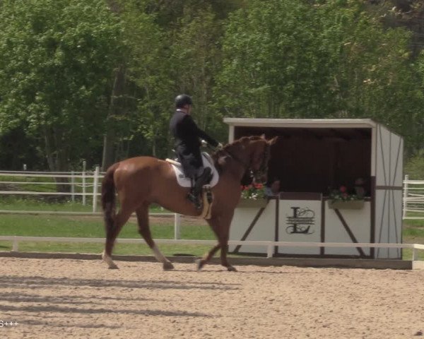 Reitturnier Hamminkeln - Reitsportzentrum Lichtenholz 2021