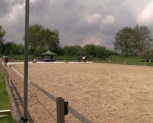 Reitturnier Laer 2021