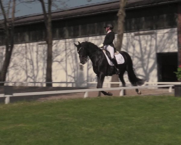 Reitturnier Hamminkeln - Reitsportzentrum Lichtenholz 2021