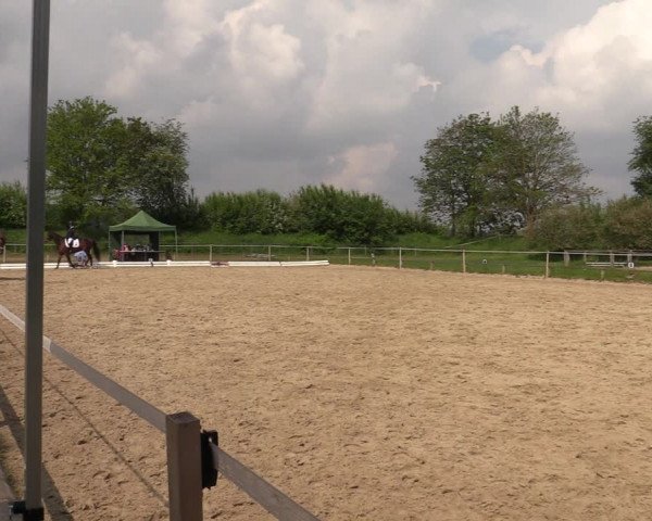 Reitturnier Laer 2021