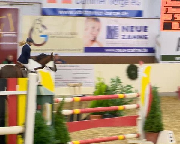 broodmare Chicca de La Luna 2 (Oldenburg, 2004, from Candidatus)