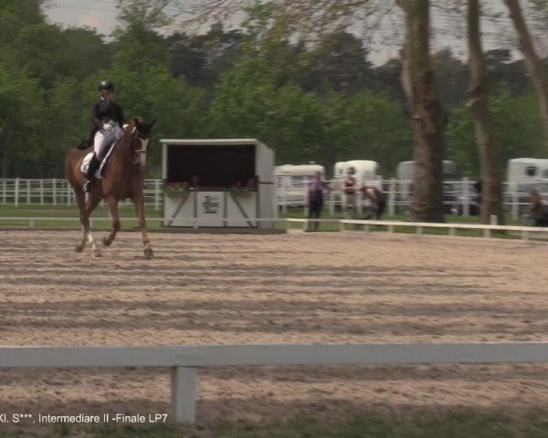 Reitturnier Hamminkeln - Reitsportzentrum Lichtenholz 2021