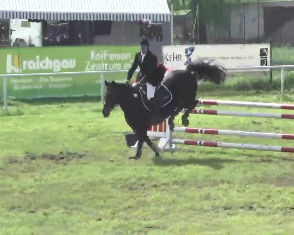 broodmare Albina 8 (Thuringia, 2000, from L'Ami)
