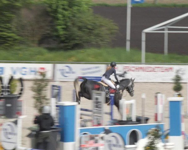 Reitturnier Harsum-Hüddessum 2021