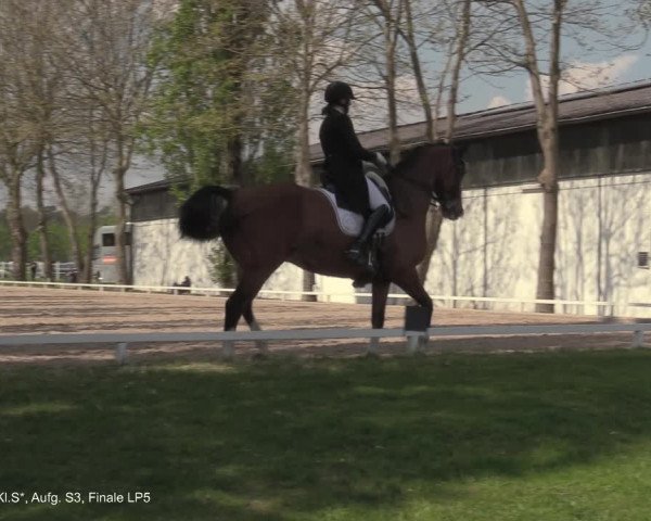 Reitturnier Hamminkeln - Reitsportzentrum Lichtenholz 2021