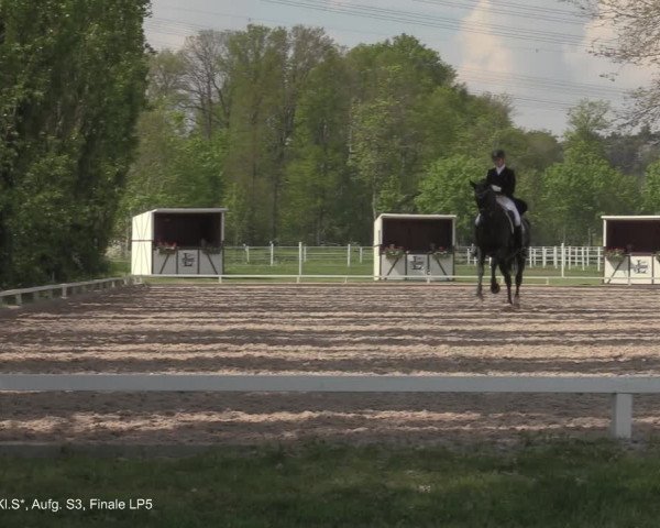 Reitturnier Hamminkeln - Reitsportzentrum Lichtenholz 2021