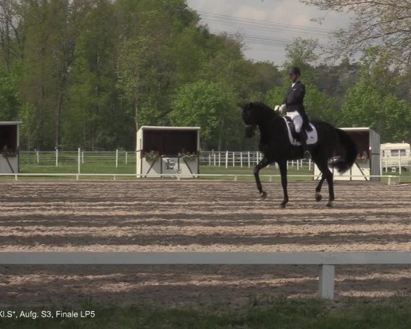 Reitturnier Hamminkeln - Reitsportzentrum Lichtenholz 2021