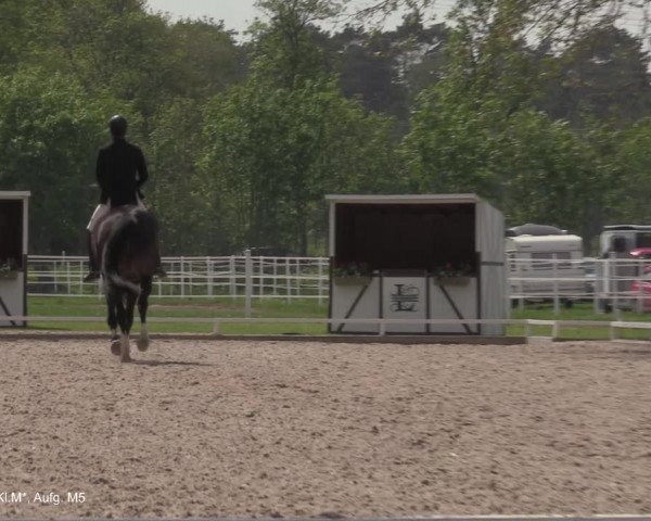 Reitturnier Hamminkeln - Reitsportzentrum Lichtenholz 2021