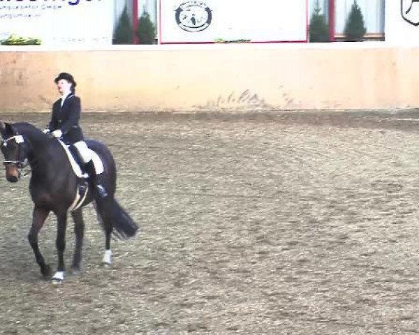 dressage horse Florist T (Westphalian, 2001, from Florestan I)
