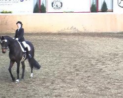 dressage horse Florist T (Westphalian, 2001, from Florestan I)