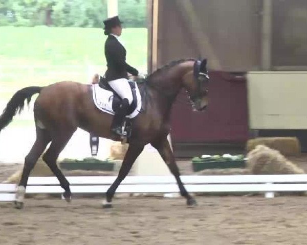 broodmare Miss Biesern (Sachse, 2002, from Piskator)
