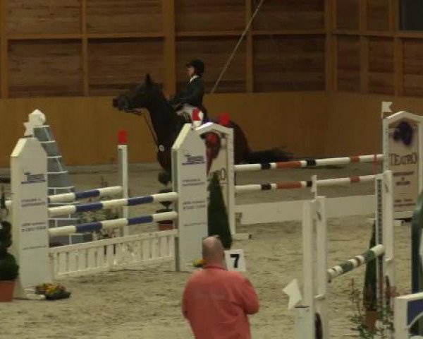 jumper Gaudino B (Rhinelander, 1997, from Gaudeamus)