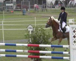 jumper Phuket (German Riding Pony, 2001, from Playboy)